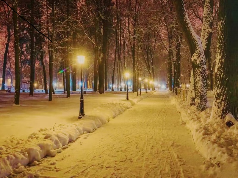 春夜飘雪.jpg